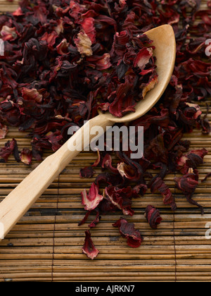 Getrocknete Hibiskusblüten - high-End Hasselblad 61mb digitales Bild Stockfoto