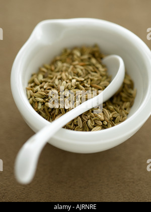 Schüssel mit Fenchelsamen - High-End Hasselblad 61mb digitales Bild Stockfoto