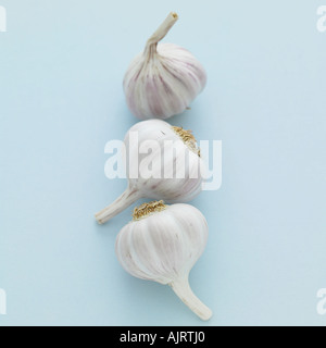 Drei Knoblauch Zwiebeln auf blassen blauen Hintergrund Stockfoto