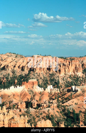 Bryce Canyon - Utah - USA das Amphitheater Stockfoto