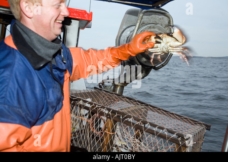 Fischer werfen stray fangen wieder im Meer. Krebse sind oft gefangen in fallen, die geschleppt worden, beim Fang von Hummern. Stockfoto