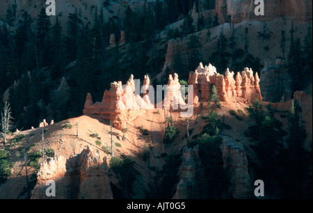 Bryce Canyon - Utah - USA das Amphitheater Stockfoto