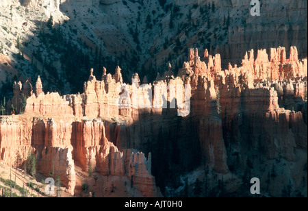 Bryce Canyon - Utah - USA das Amphitheater Stockfoto