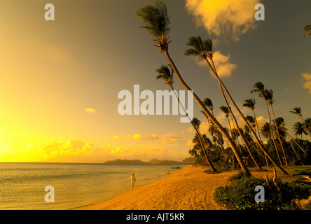 Pinneys Strand, Nevis, mit idyllischen tropischen Umgebung von Palmen und ruhigen ruhigem Wasser, Pinney Strand, Nevis, idyllischen Sonnenuntergang Stockfoto