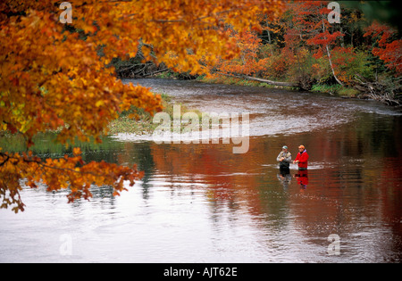 Kanada Nova Cabot Trail Fliegenfischer Angeln für den Atlantischen Lachs am Margaree River im Herbst Farben Stockfoto