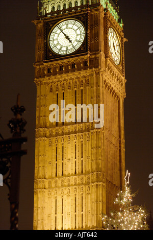 Baum am Fuße des Big Ben Dezember 2004 Houses of Parlament London England UK Stockfoto