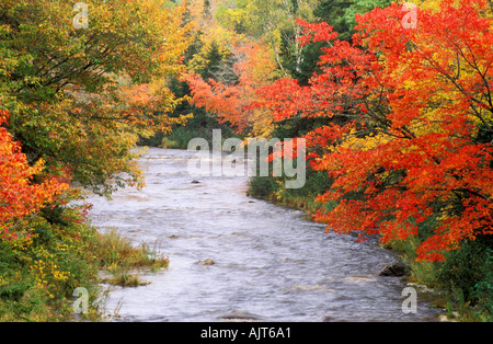 CANADA Nova Scotia Cabot Trail autumn colors and silky stream Stockfoto