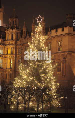 Baum am Fuße des Big Ben Häuser des Parlaments London England UK Stockfoto
