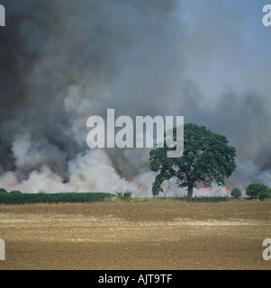 Blick auf Rauch überragt eine brennende Stoppelfeld an einem feinen Sommertag Stockfoto