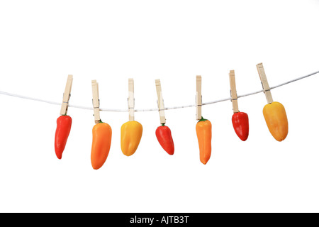 Bunte Peperoni hängen von einer Wäscheleine isoliert auf weiss Stockfoto