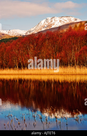 BLICK AUF SCHNEE GEKRÖNT BEN LOMOND IM TROSSACHS NATIONAL PARK IN DER NÄHE VON GLASGOW AUS LOCHEN AM LOCH LOMOND Stockfoto