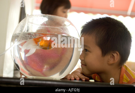 Nahaufnahme eines jungen Blick auf einen Goldfisch mit seiner Schwester im Hintergrund Stockfoto