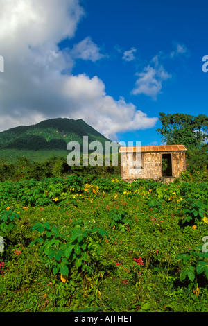 Insel Nevis St. Kitts und Nevis Karibik, alte Nevesian Holzbau Architektur mit Mount Nevis im Hintergrund
