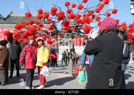 Freunde und Familie posieren für ein Foto neben einem Baum rote Laterne beim chinesischen Neujahrsfest, 2005. Stockfoto