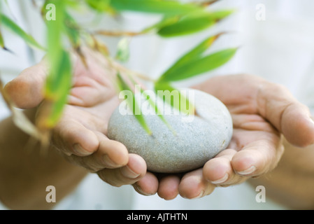 Kiesel in der hohlen Hand, Blätter in unscharfen Vordergrund, Nahaufnahme Stockfoto