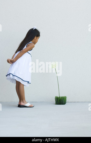 Mädchen im Sommerkleid, nach vorne lehnen, Blume, Seitenansicht betrachten Stockfoto