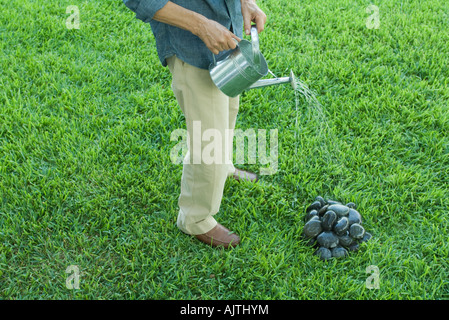 Mann steht auf Rasen, Bewässerung Steinhaufen mit Gießkanne, Taille abwärts Stockfoto