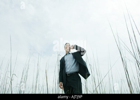 Mann stehend in hohe Gräser, mit Handy, niedrigen Winkel Ansicht Stockfoto