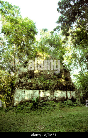 Guatemala Peten Tikal Maya-Website Süden Akropolis überdachte Dschungeltempel Stockfoto