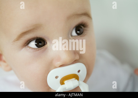 Baby mit Schnuller im Mund, Anhebung der Augenbrauen, close-up Stockfoto