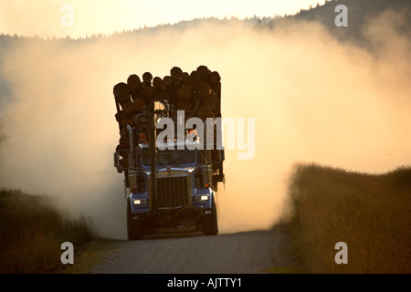 Anmeldung Lkw Staubwolke entlang Highway 40 im südwestlichen Alberta Kanada Stockfoto