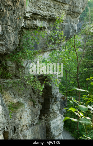 Böschung bluffs John Thatcher State Park Albany County New York Stockfoto