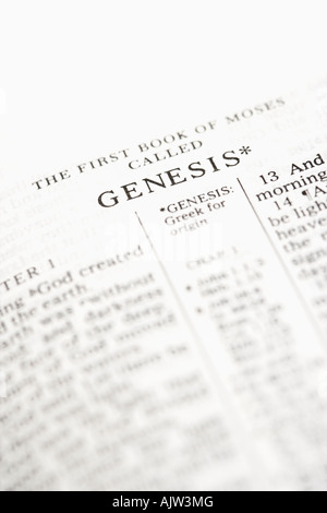 Selektiven Fokus der Genesis Verse in offenen Bibel Stockfoto
