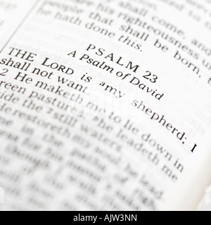 Selektiven Fokus Psalm Verse in offenen Bibel Stockfoto