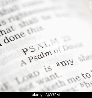 Selektiven Fokus Psalm Verse in offenen Bibel Stockfoto