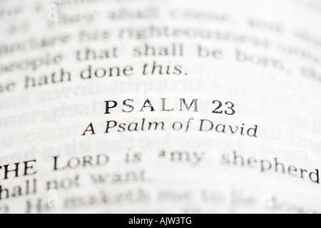 Selektiven Fokus Psalm Verse in offenen Bibel Stockfoto