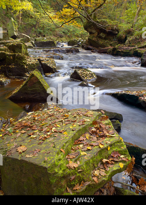 Die hübsche West Beck in der Nähe von Mallyan Auslauf Goathland im Herbst Stockfoto