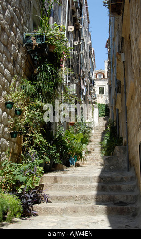 Schmale Straße Dubrovnik Dalmatien Kroatien Stockfoto