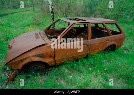 Die verrostete Hulk von verbrannten Auto kehrt langsam in die Elemente gegen einen Teppich von grünem Rasen. Stockfoto