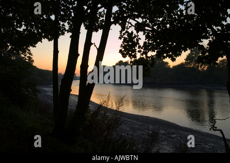 Bäume gegen ein Abendhimmel am Ufer der Themse in London Stockfoto