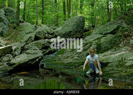 Junges Mädchen mit Netz auf der Suche, Frösche oder Fische in einem Bach im Wald zu fangen Stockfoto