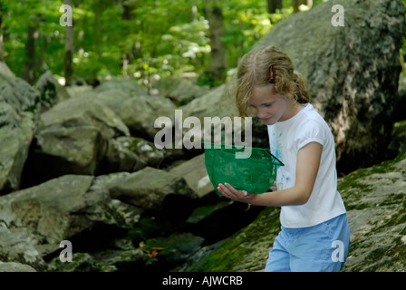 Junge Mädchen auf der Suche im Netz für Wassertiere an einem Bach Stockfoto