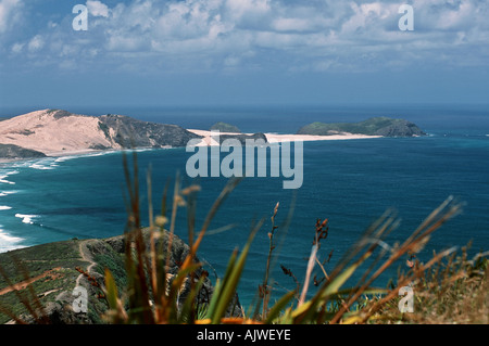 Cape Reinga Nordspitze der Nordinsel Neuseeland Pacific Ocean Stockfoto