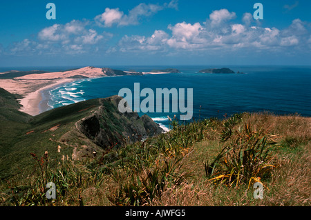 Cape Reinga der Nordspitze der Insel von Neuseeland Nordpazifik Stockfoto