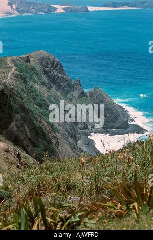 Cape Reinga der Nordspitze der Insel von Neuseeland Nordpazifik Stockfoto