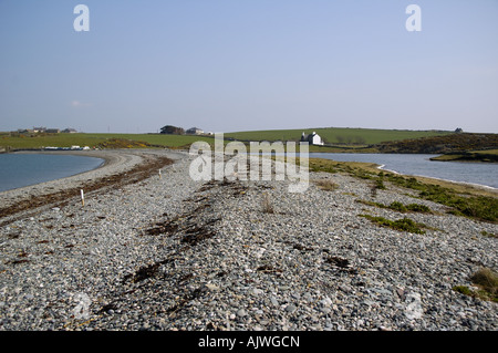 Kiesstrand und brackige Lagune bei Cemlyn Bay Anglesey North Wales Stockfoto