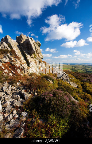 Die Stipersteine mit lila Heidekraut am Sommertag mit blauem Himmel und Sonnenschein und Blick auf Corndon Hill Shropshire Stockfoto