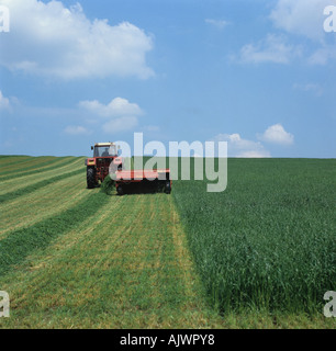 Traktor Taarup Mäher schneiden sogar Grass Ley für Silage Hampshire UK Stockfoto