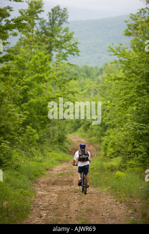 Mountainbiken auf eine Forststraße in Granby Vermont in der Nähe von Krankenschwester Berg The Northeast Kingdom Stockfoto