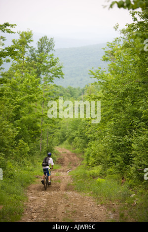 Mountainbiken auf eine Forststraße in Granby Vermont in der Nähe von Krankenschwester Berg The Northeast Kingdom Stockfoto