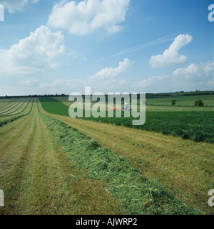 Taarup Mähtraktor auf Mähen große Wiese Ley für Silage Hampshire UK Stockfoto