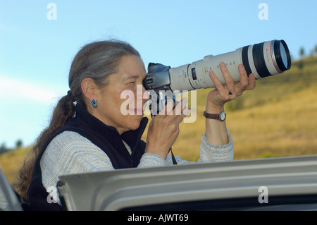 Amerikanische Bisons, auch bekannt als Büffel grasen auf der nationalen North American Bison Range im westlichen Montana Fotograf Maxine Stockfoto