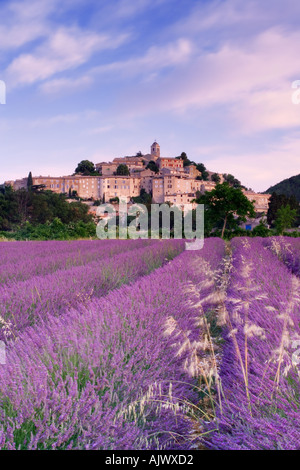 Frankreich Provence Blick über Lavendel, Hügel Dorf Banon Stockfoto