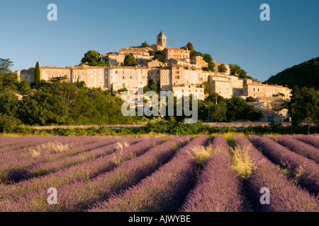 Frankreich-Provence-Blick über Lavendel, Hügel Dorf Banon Stockfoto