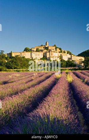 Frankreich Provence Blick über Lavendel, Hügel Dorf Banon Stockfoto