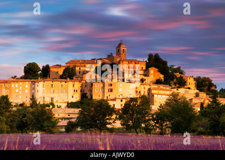 Dorf von Banon betrachtet über Lavendel in den frühen Morgenstunden Licht Provence Frankreich Stockfoto